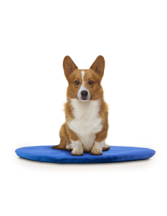 33. Pagalvėlė-Guolis... 2